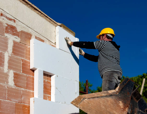Best Cellulose Insulation  in West Jefferson, NC