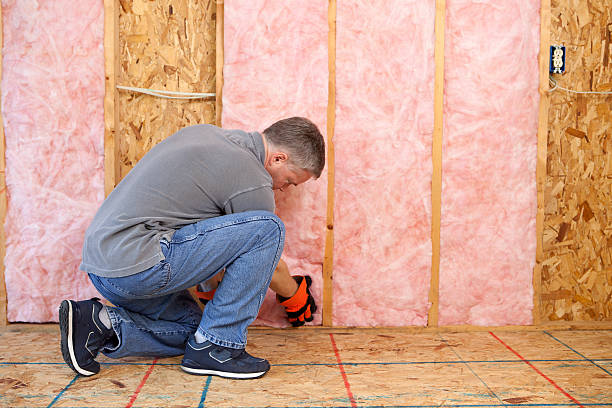 Best Local Insulation Services  in West Jefferson, NC